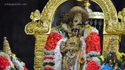 srirangam vaiyali perumal